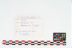 Foto von Keramikgefäß (NHMW-PRAE-078089)